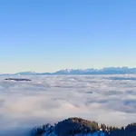Falkenblick