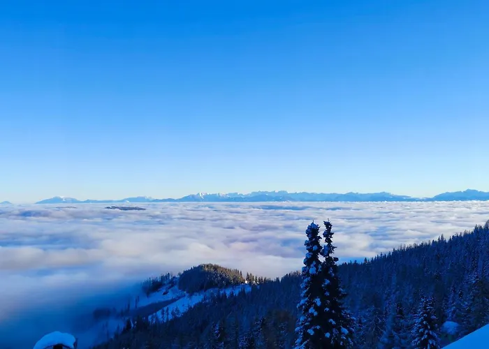 Falkenblick Holiday home *