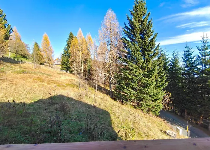 Falkenblick Holiday home