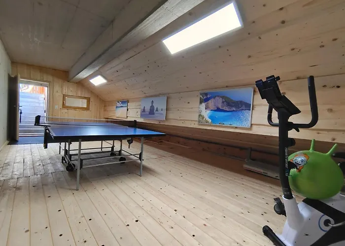 Falkenblick Holiday home